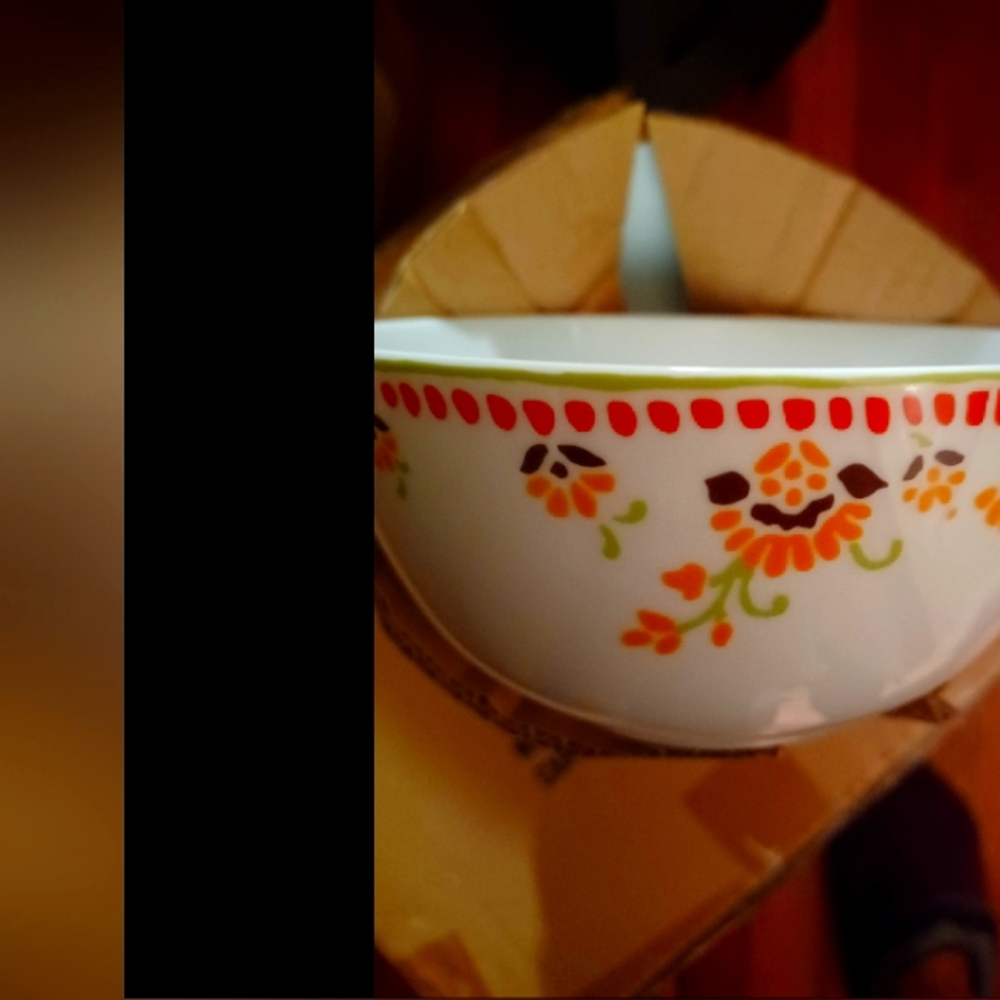 16 Piece Dinnerware set